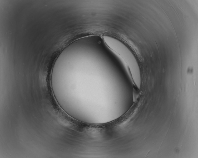 X0000093720209200711060945