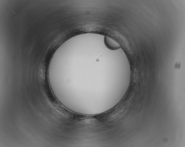 X0000093720210200711060945