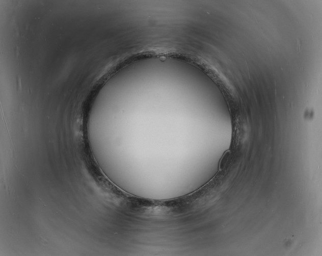 X0000093720212200711060945