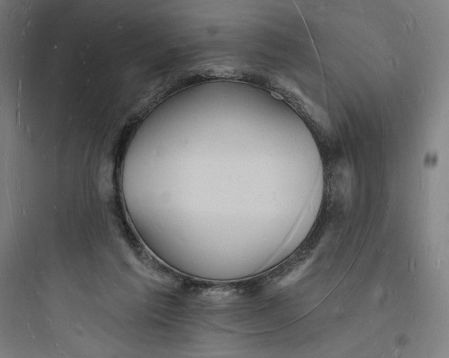 X0000093720213200711060945