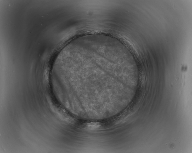 X0000093720214200711060945