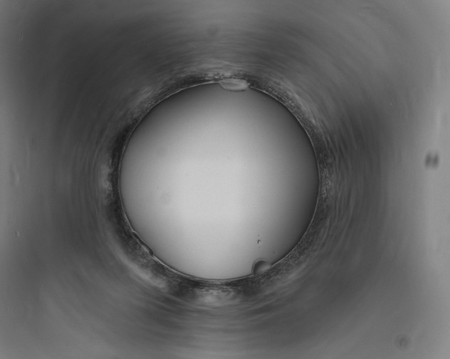 X0000093720215200711060945