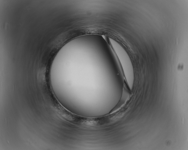 X0000093720217200711060945