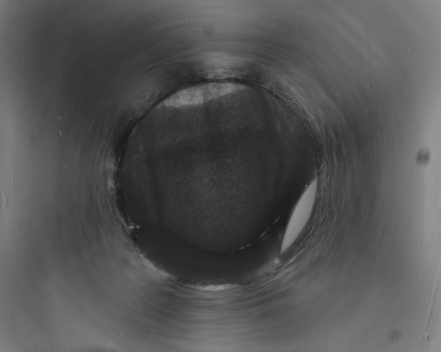 X0000093720219200711060945