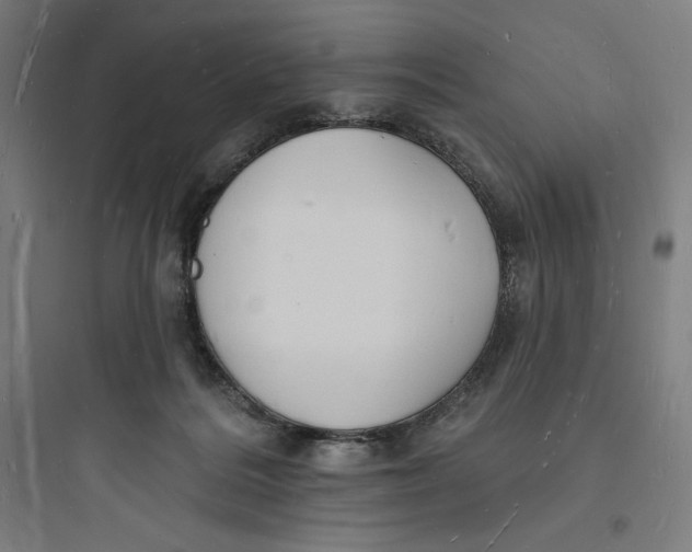 X0000093720220200711060945