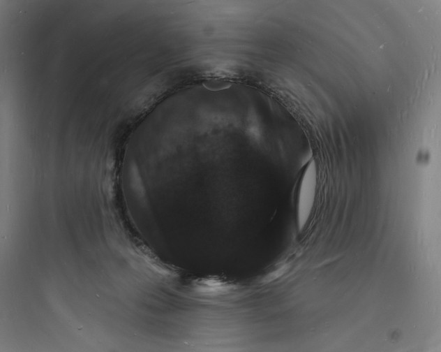 X0000093720223200711060945