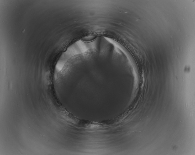 X0000093720224200711060945