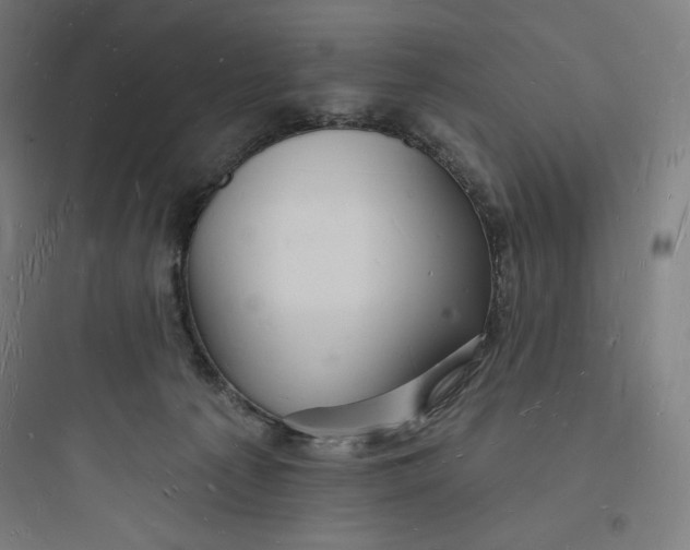 X0000093720225200711060945