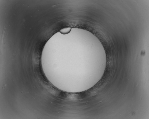 X0000093720226200711060945