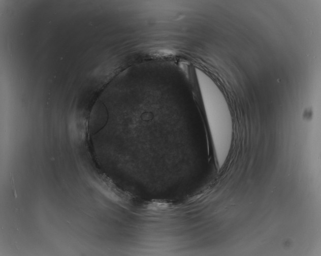 X0000093720227200711060945