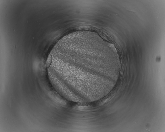 X0000093720228200711060945