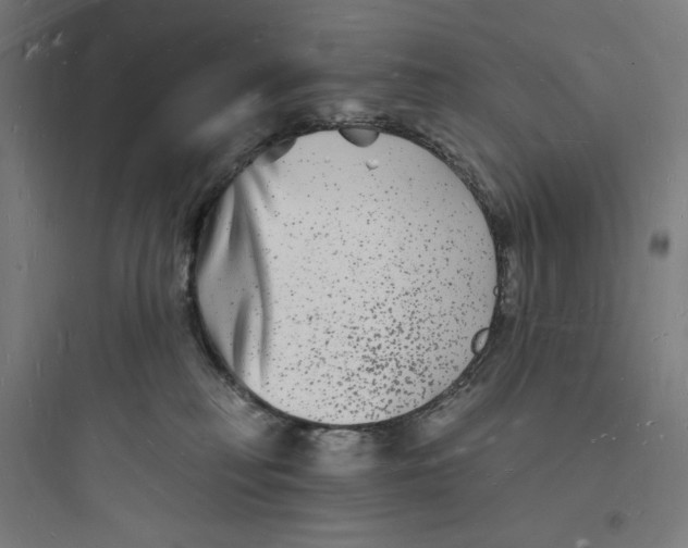 X0000093720230200711060945