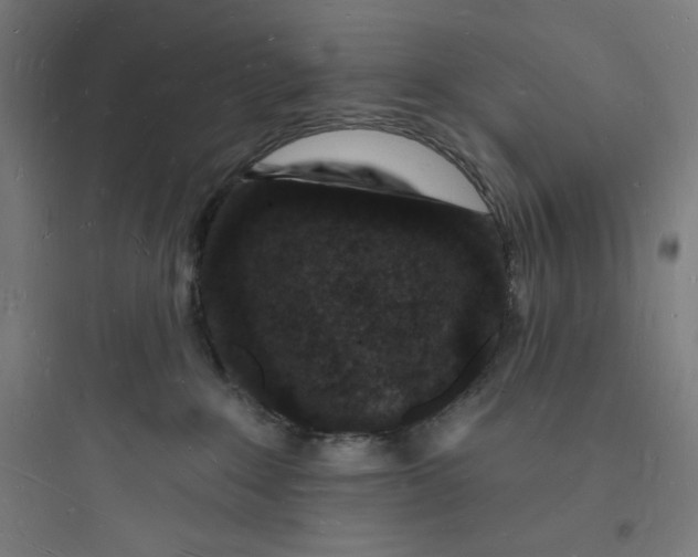 X0000093720235200711060944