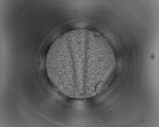 X0000093720236200711060944