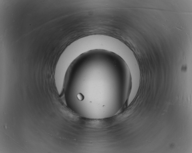 X0000093720237200711060944