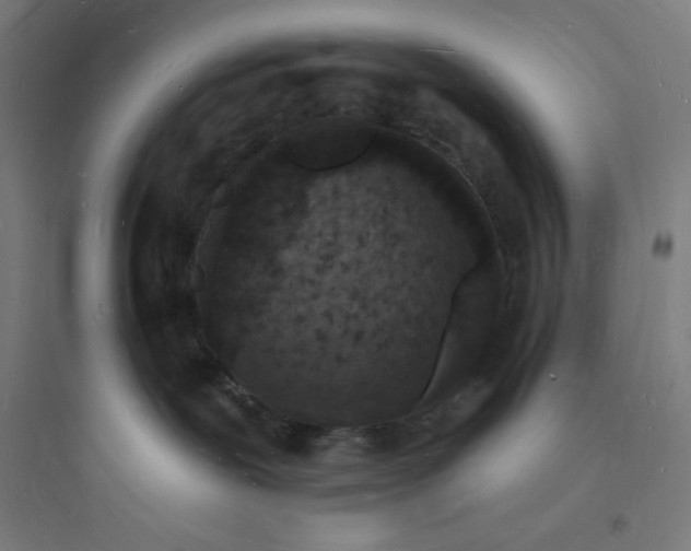 X0000093720239200711060944