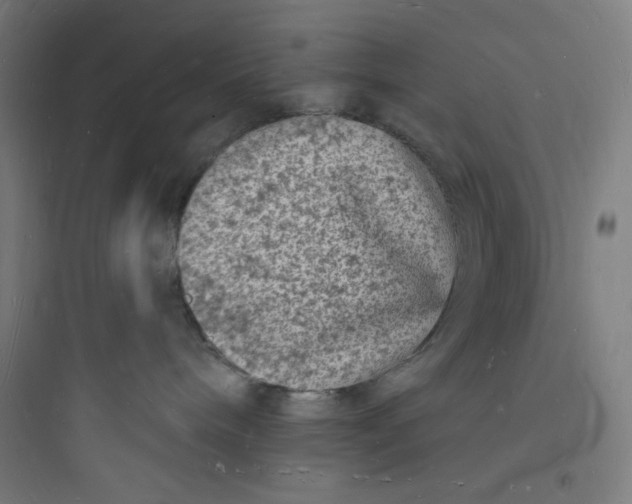 X0000093720240200711060944