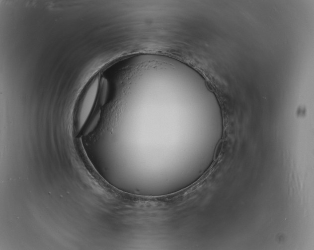 X0000093720242200711060944