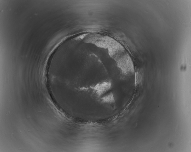 X0000093720243200711060944