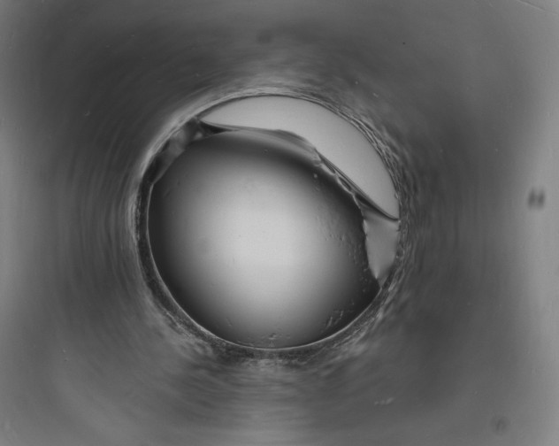 X0000093720244200711060944