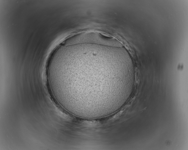 X0000093720245200711060944