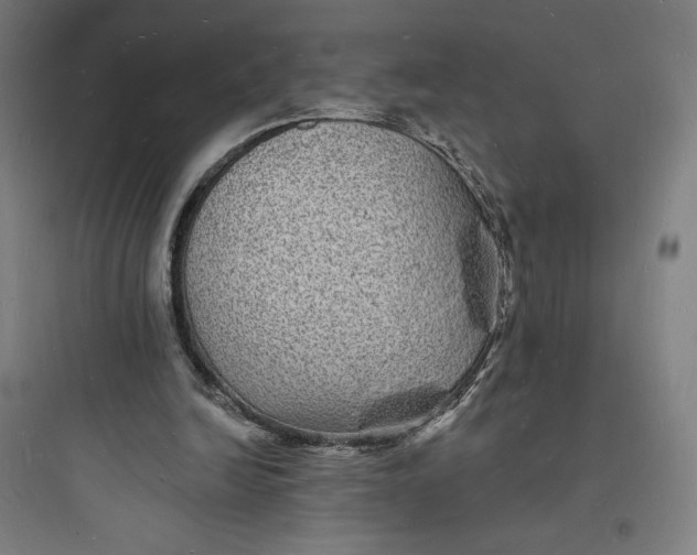 X0000093720246200711060944