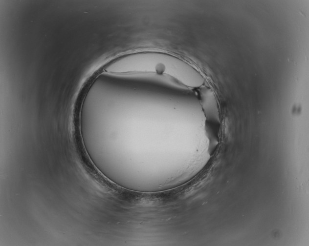 X0000093720248200711060944