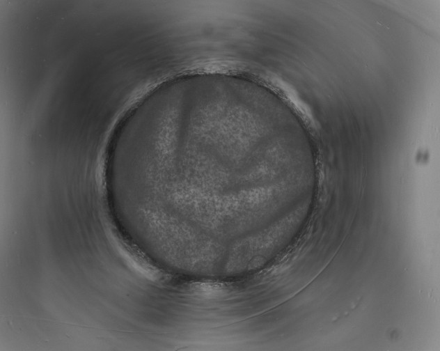 X0000093720250200711060944