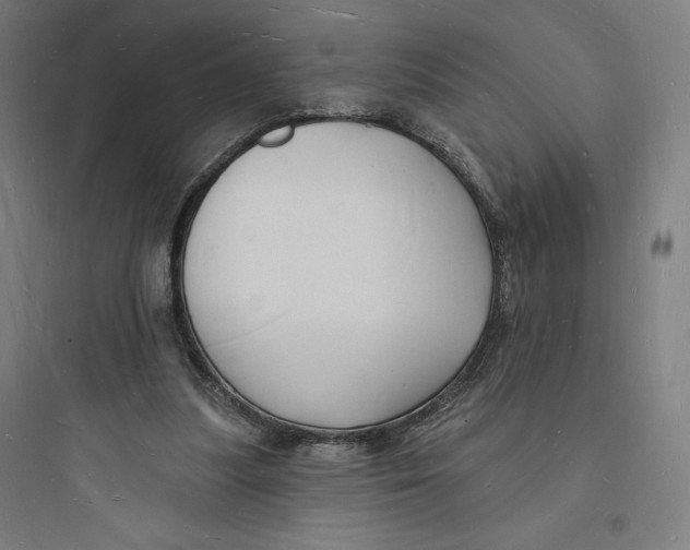 X0000093720251200711060944