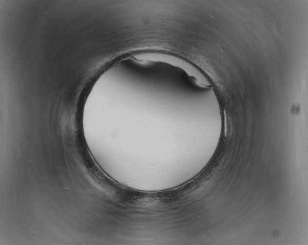 X0000093720252200711060944