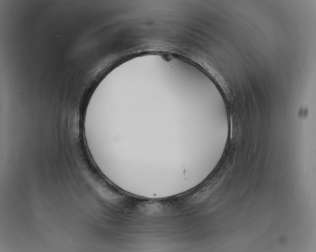 X0000093720253200711060944