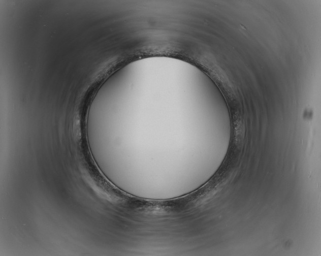 X0000093720254200711060944