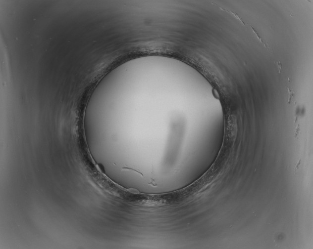 X0000093720255200711060944