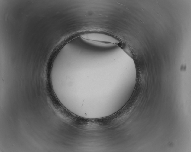 X0000093720256200711060944