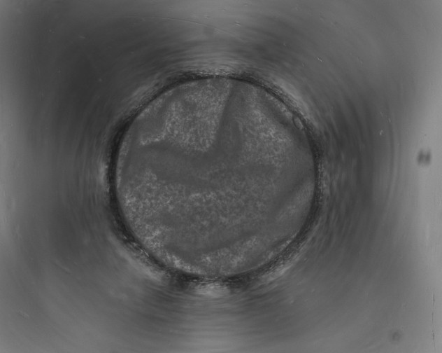 X0000093720258200711060944