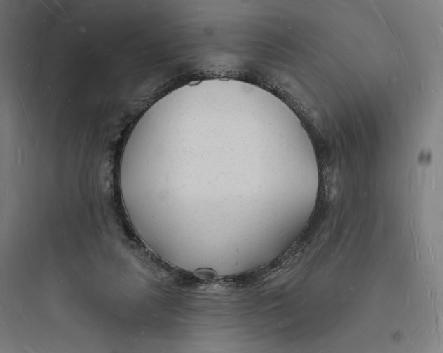 X0000093720259200711060944