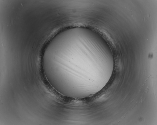 X0000093720260200711060944