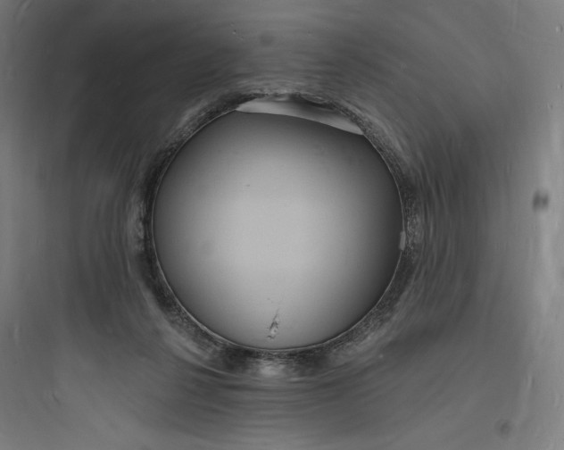 X0000093720264200711060944