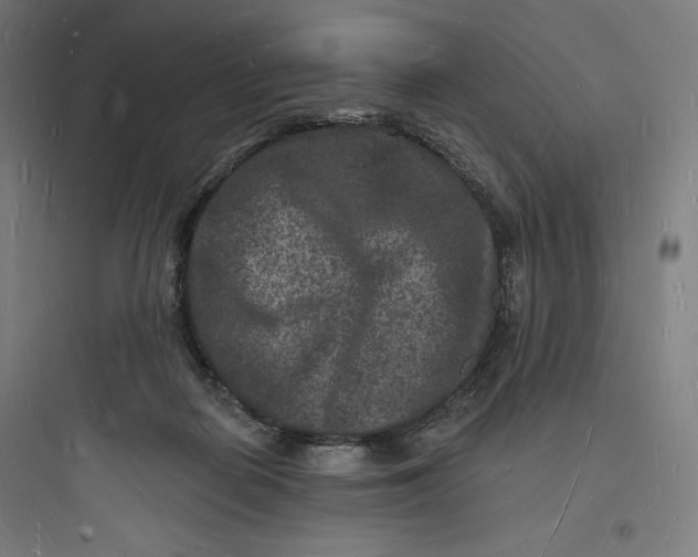 X0000093720266200711060944