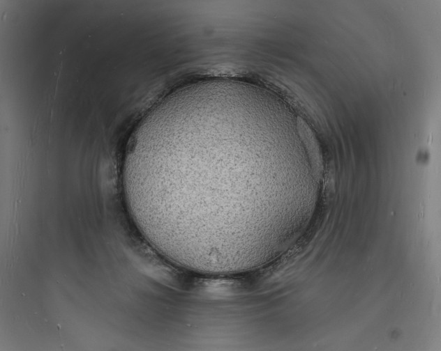 X0000093720268200711060944