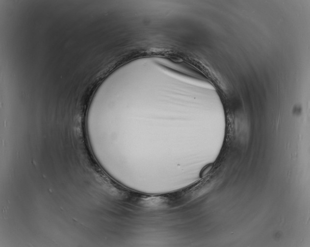 X0000093720269200711060944