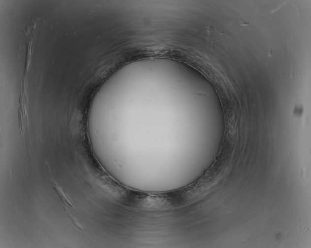 X0000093720270200711060944