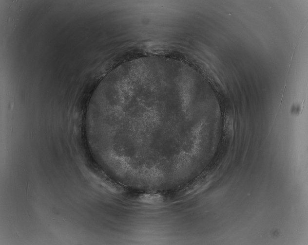 X0000093720271200711060944