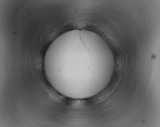 X0000093720274200711060944