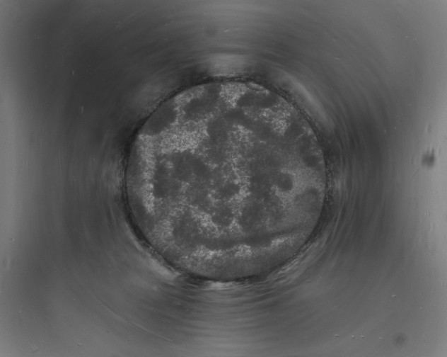 X0000093720277200711060944