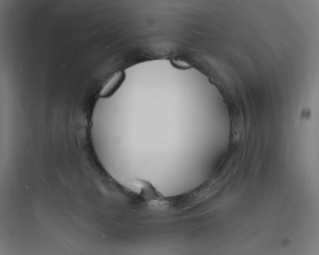 X0000093720279200711060944