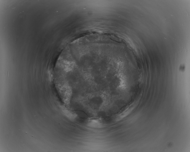 X0000093720285200711060944