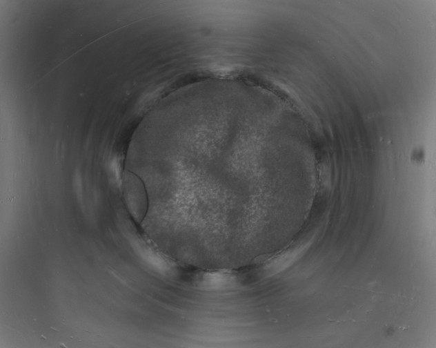 X0000093720286200711060944