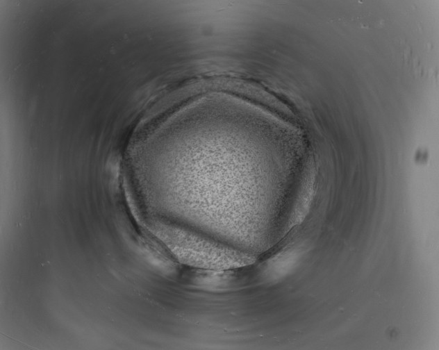 X0000093720288200711060944