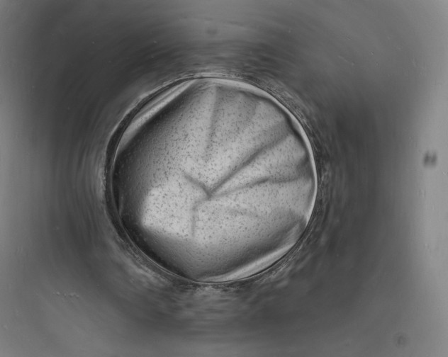 X0000093720290200711060944